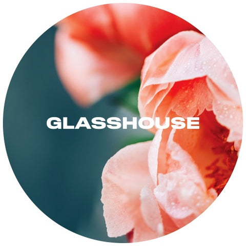 Tap 3: Glasshouse - Begin To Bloom 5.4% (Flagon)